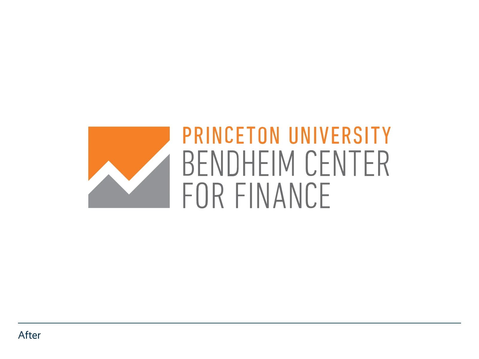 Bendheim Center for Finance at Princeton After Logo