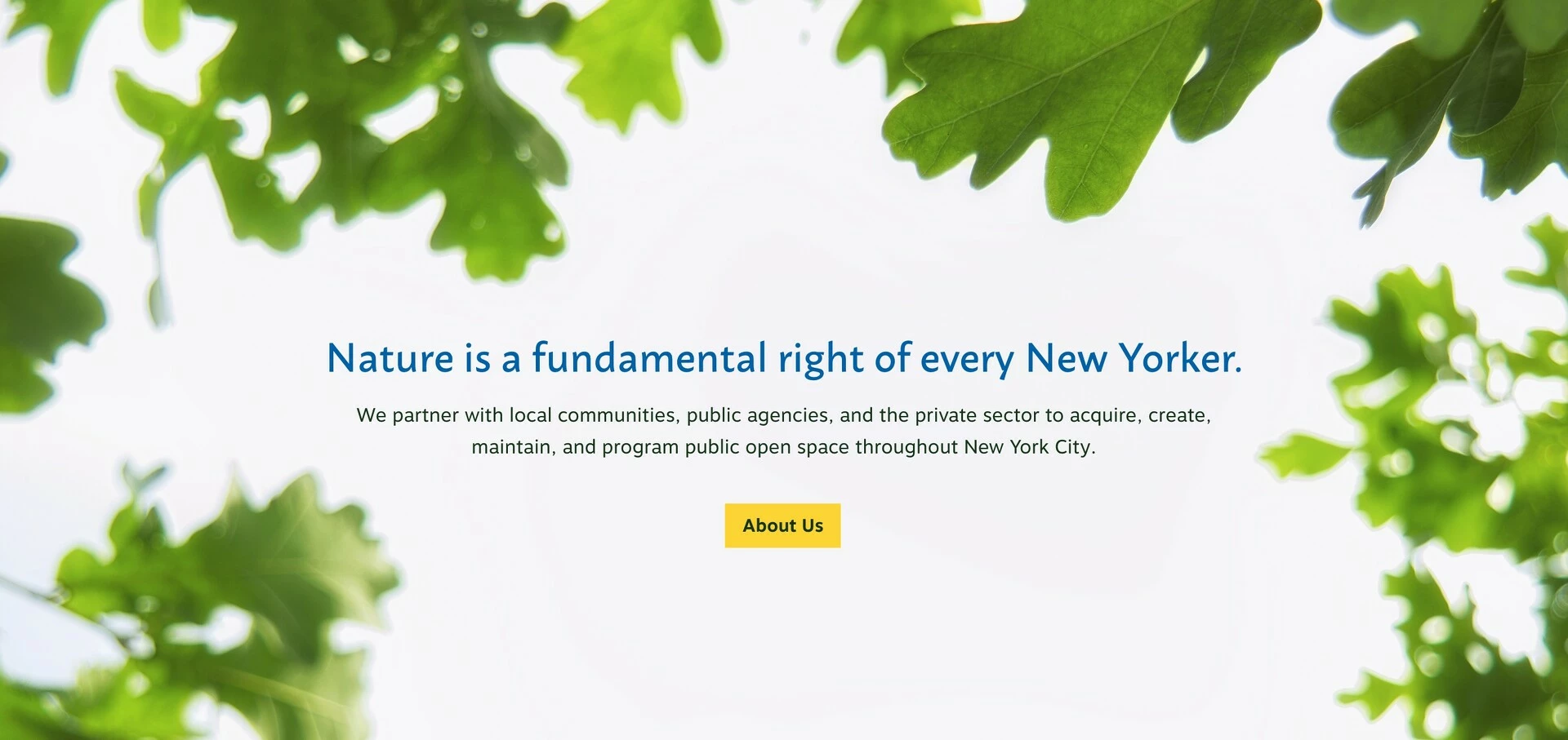 NYRP Website Design About Us CTA