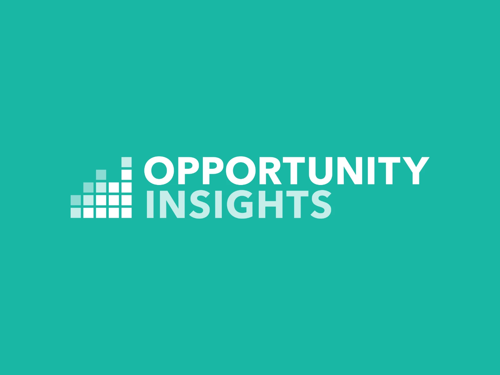 Opportunity Insights Logo Design White
