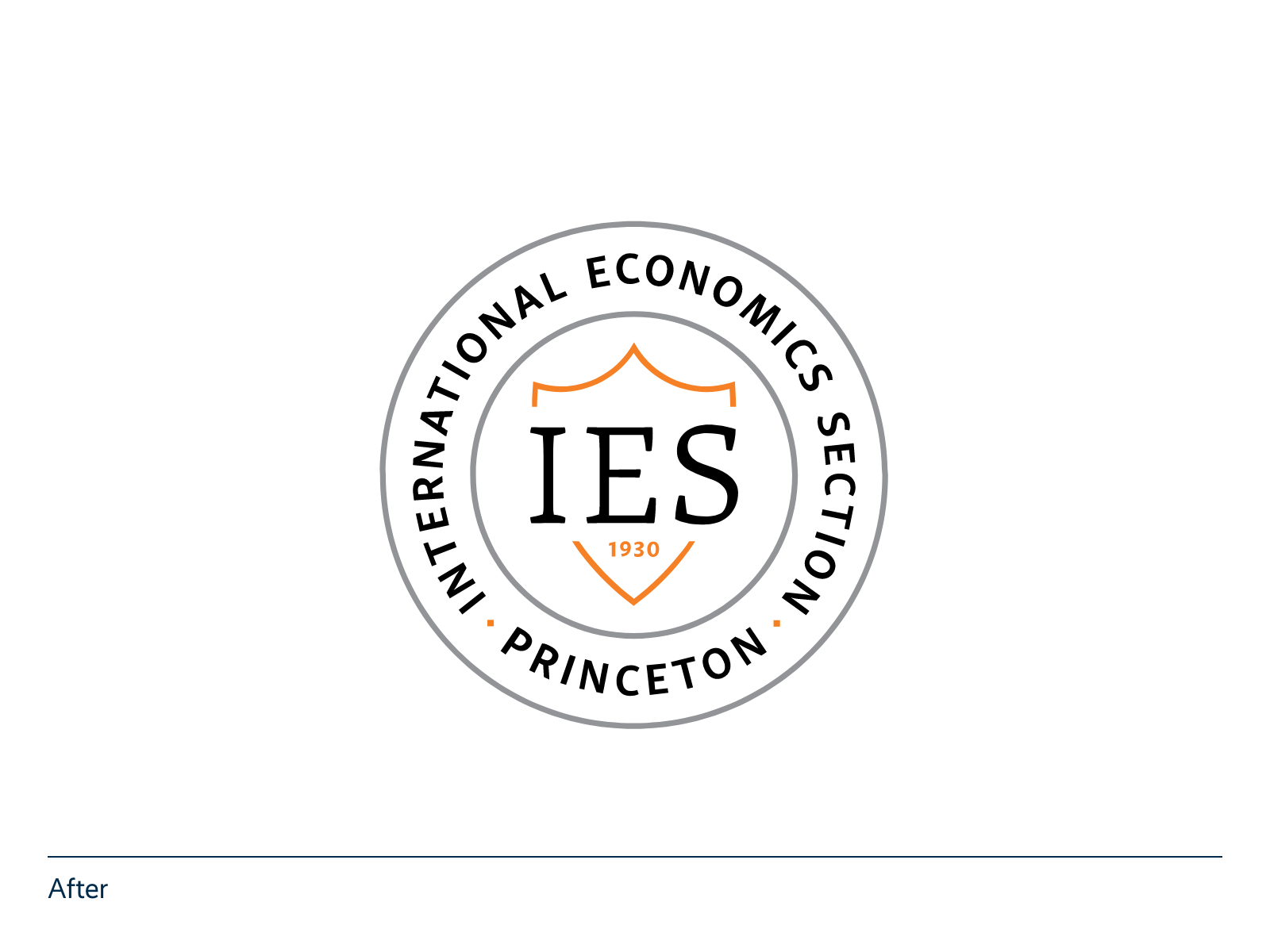 IES at Princeton After Logo Design