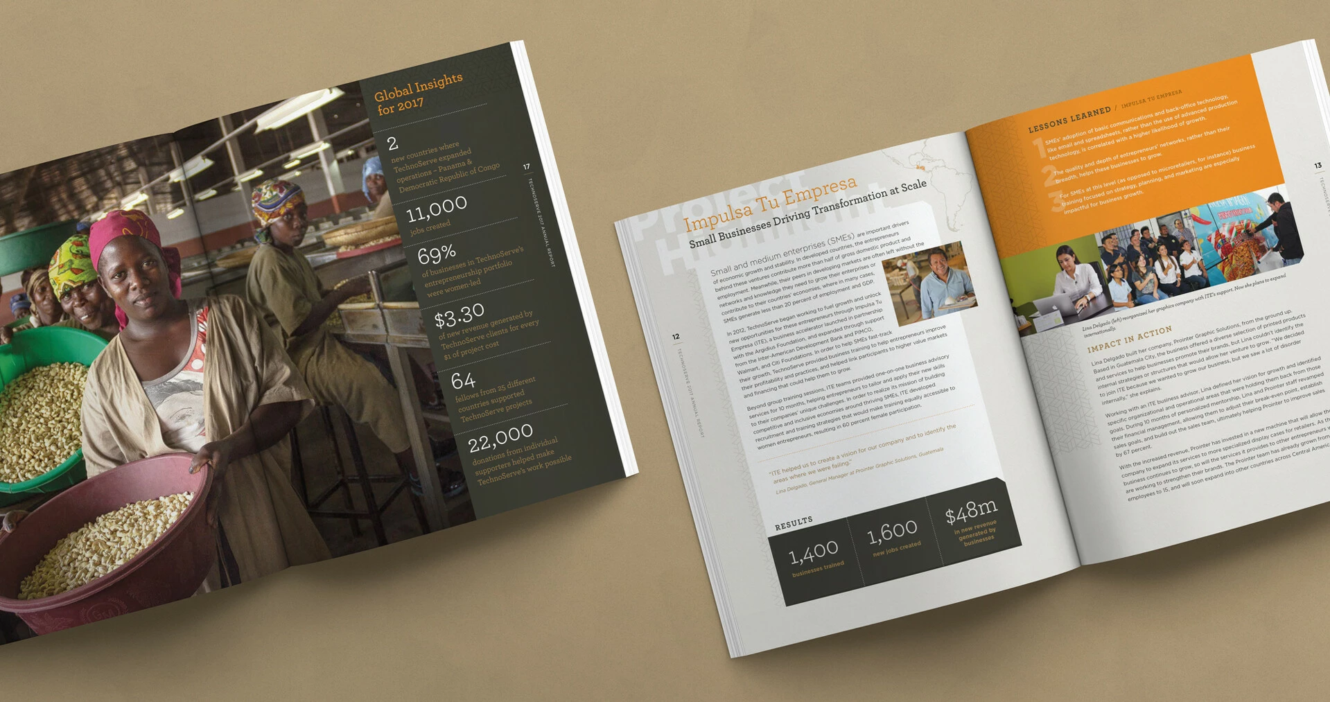 TechnoServe Annual Report Print Design