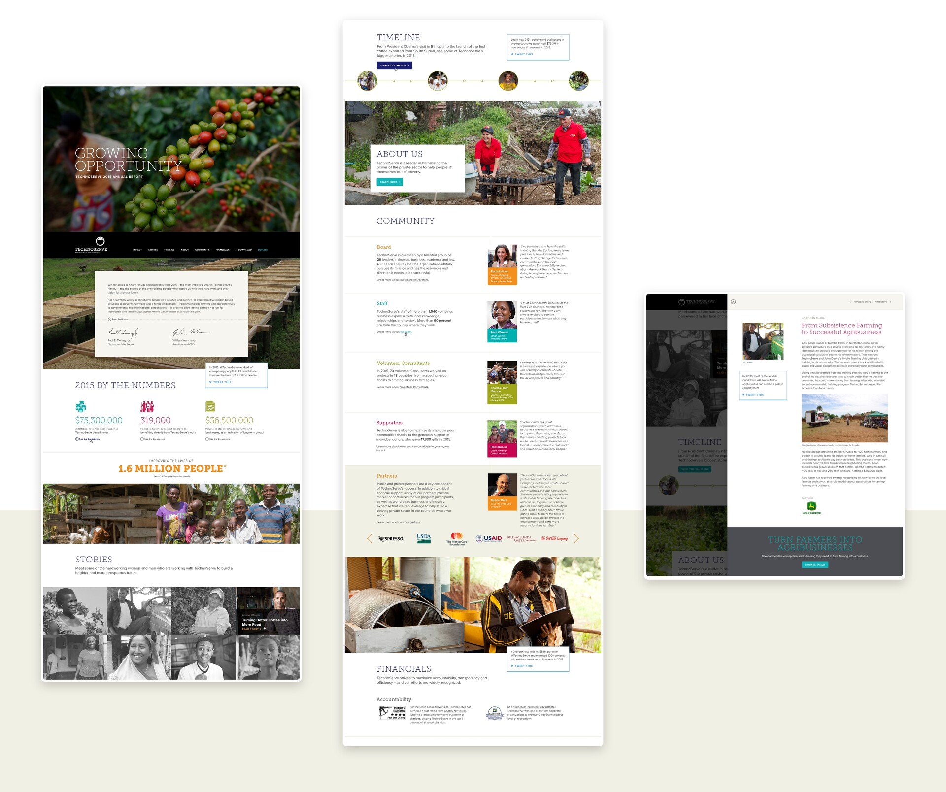 TechnoServe Annual Report Website Design Full-Page