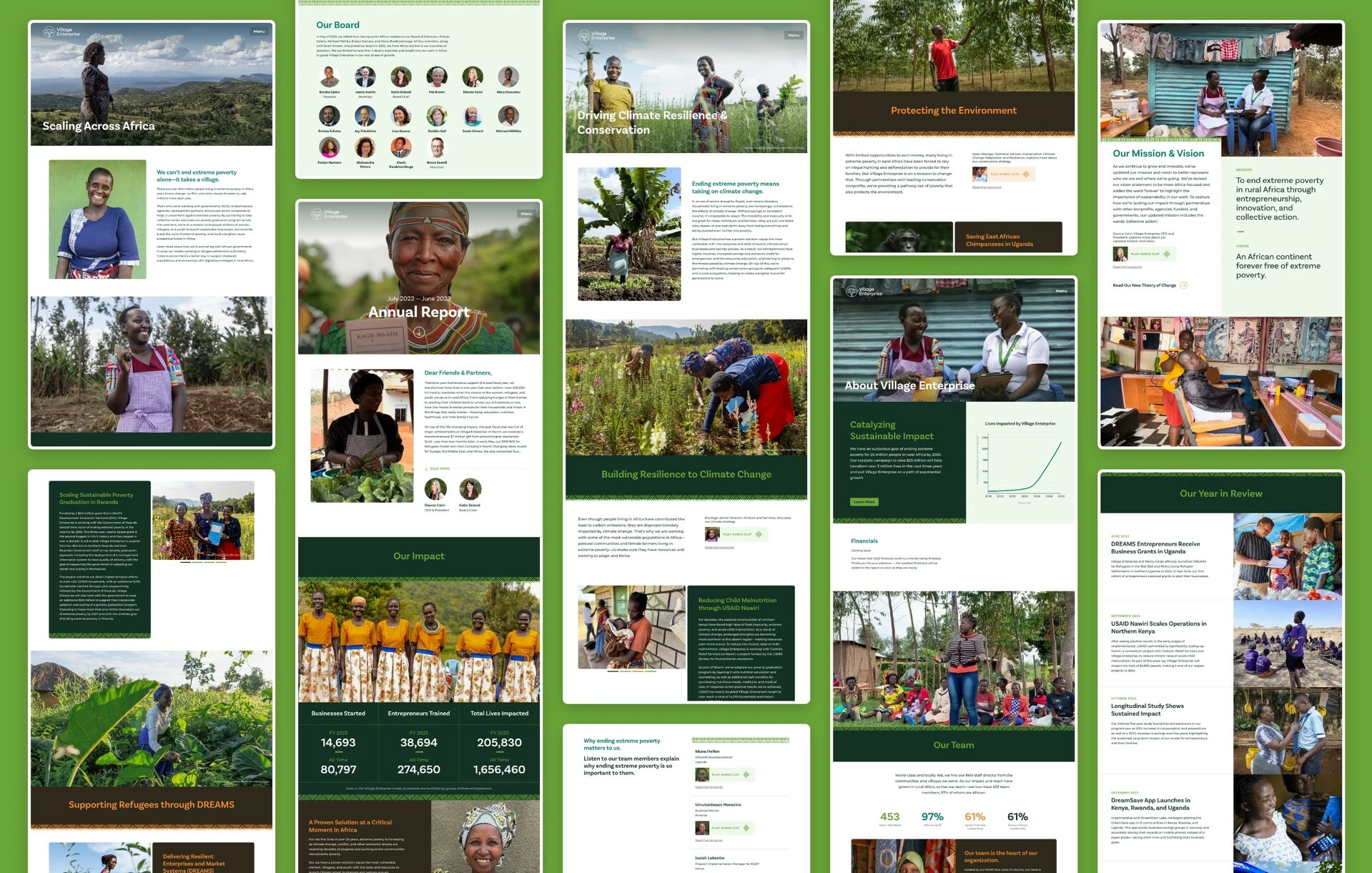 Annual report microsite pages